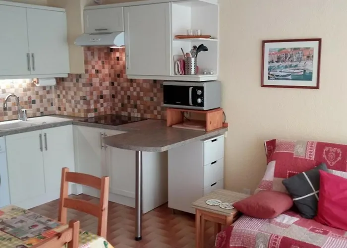 Superbe T2 A Port Barcares, A Pied, Parking Prive - Fr-1-81-295 * Leucate